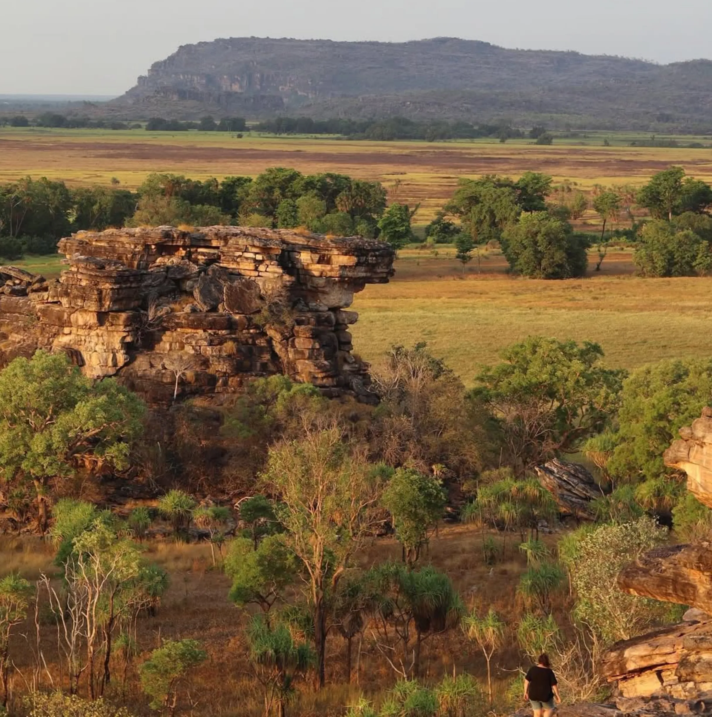 Carole Pivarnik | Explore Anbangbang Billabong: A Hidden Gem in Kakadu