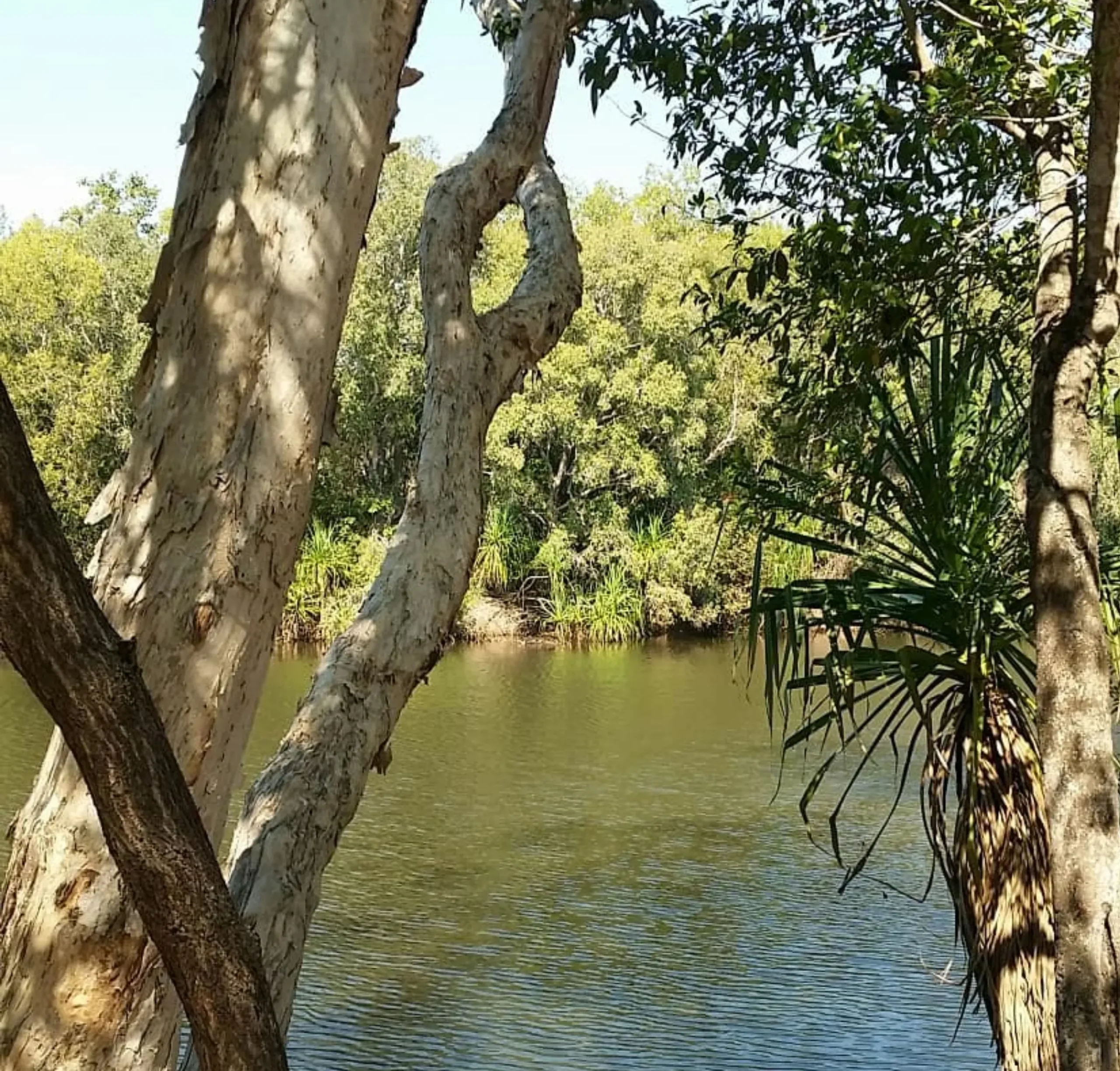 Carole Pivarnik | Explore Anbangbang Billabong: A Hidden Gem in Kakadu