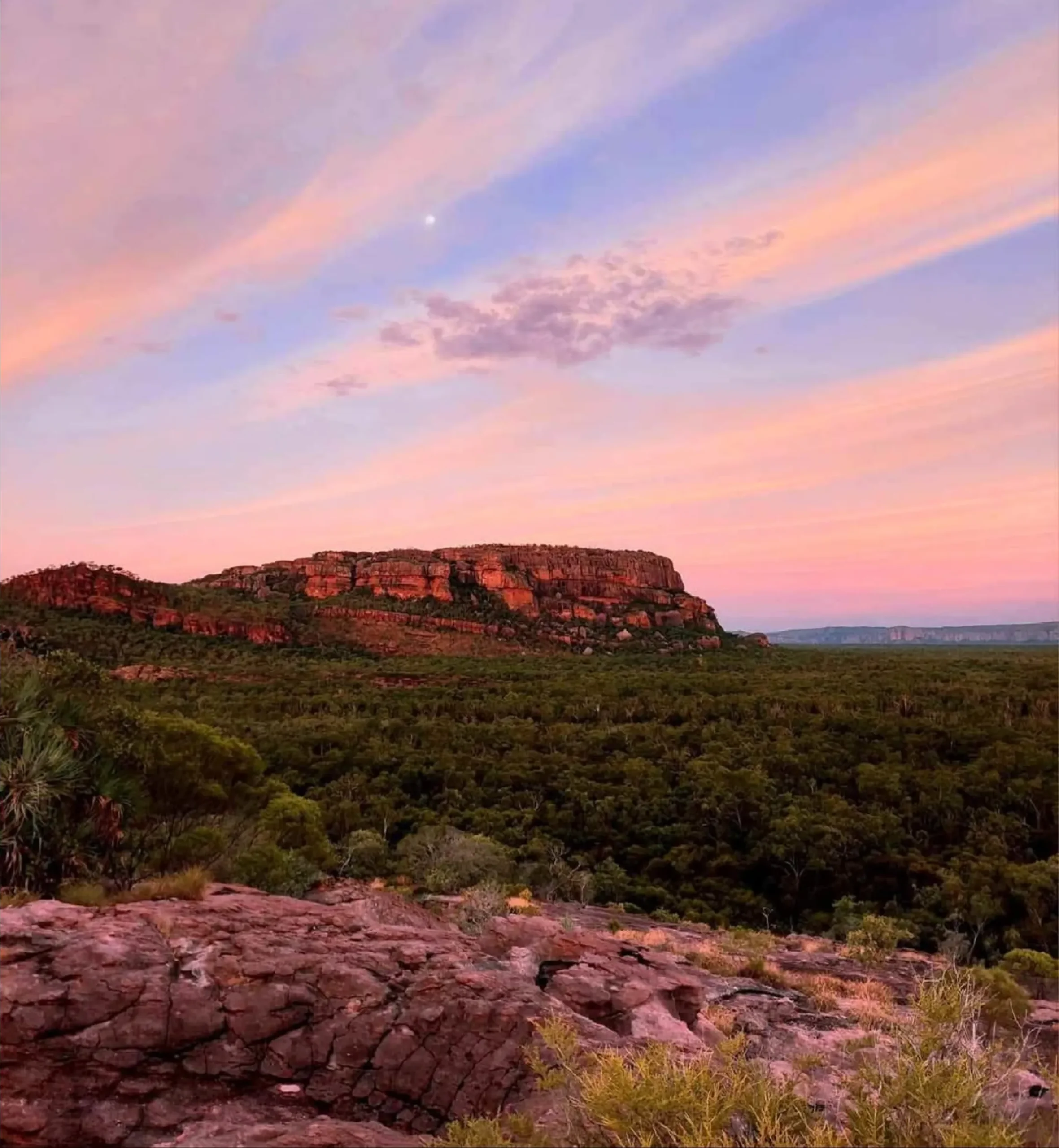 Carole Pivarnik | Explore Anbangbang Billabong: A Hidden Gem in Kakadu