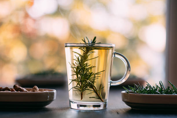 Rosemary Water: A Hair Growth Solution or Just a Trend?