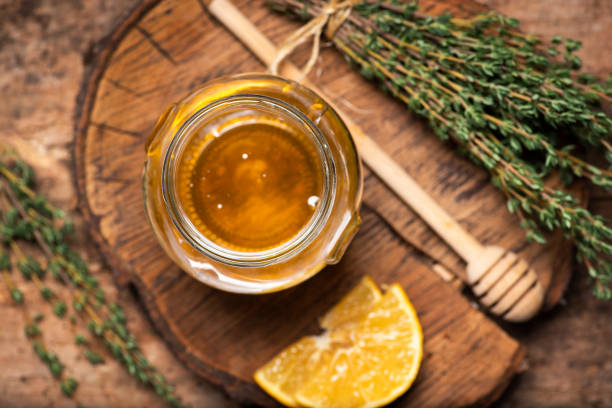 The Effectiveness of Rosemary Water in Promoting Hair Growth